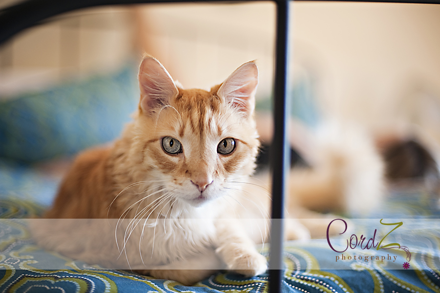 undefined undefined